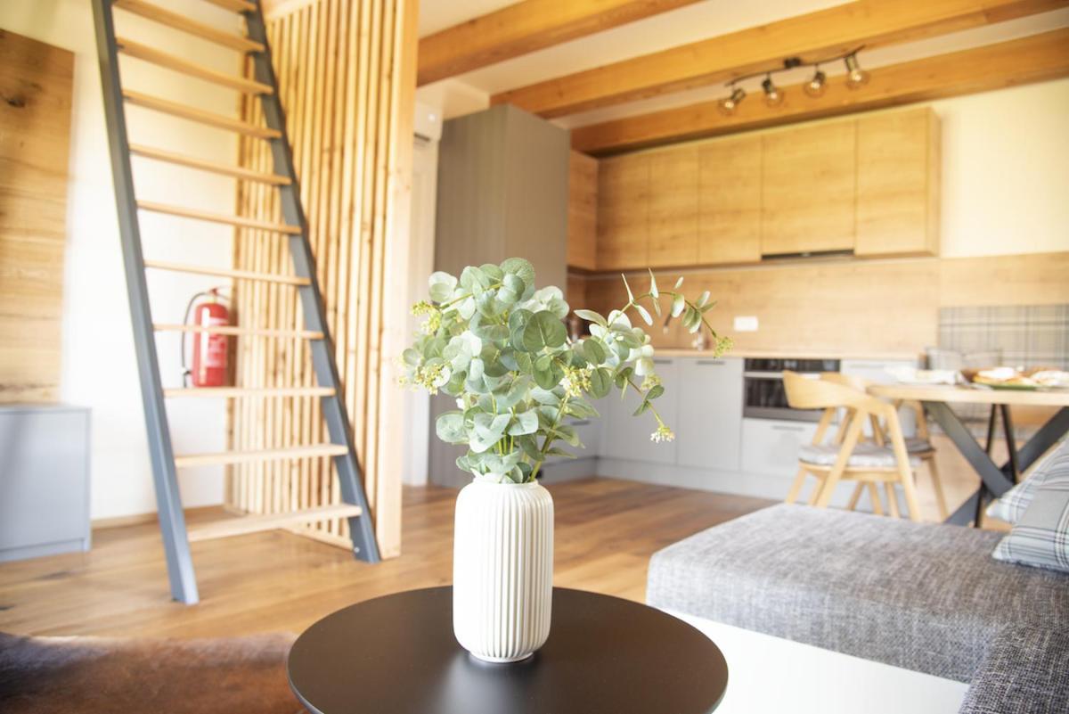 Nora Apartment Dolni Morava